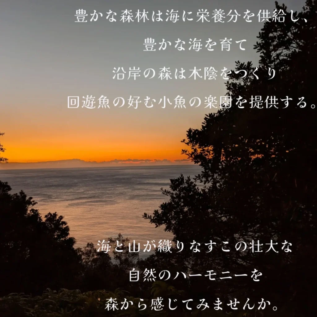 熊野灘からのご来光早朝散歩