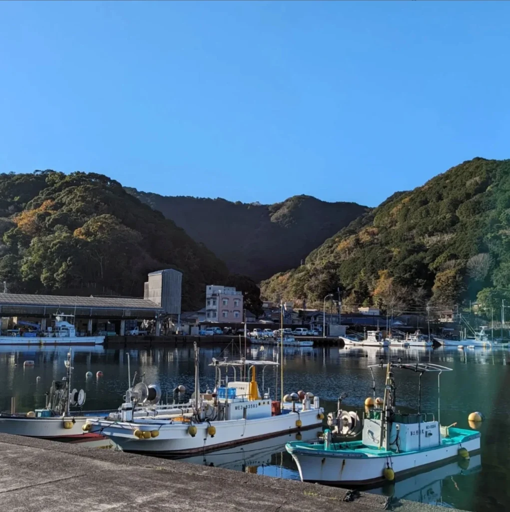 熊野灘からのご来光早朝散歩