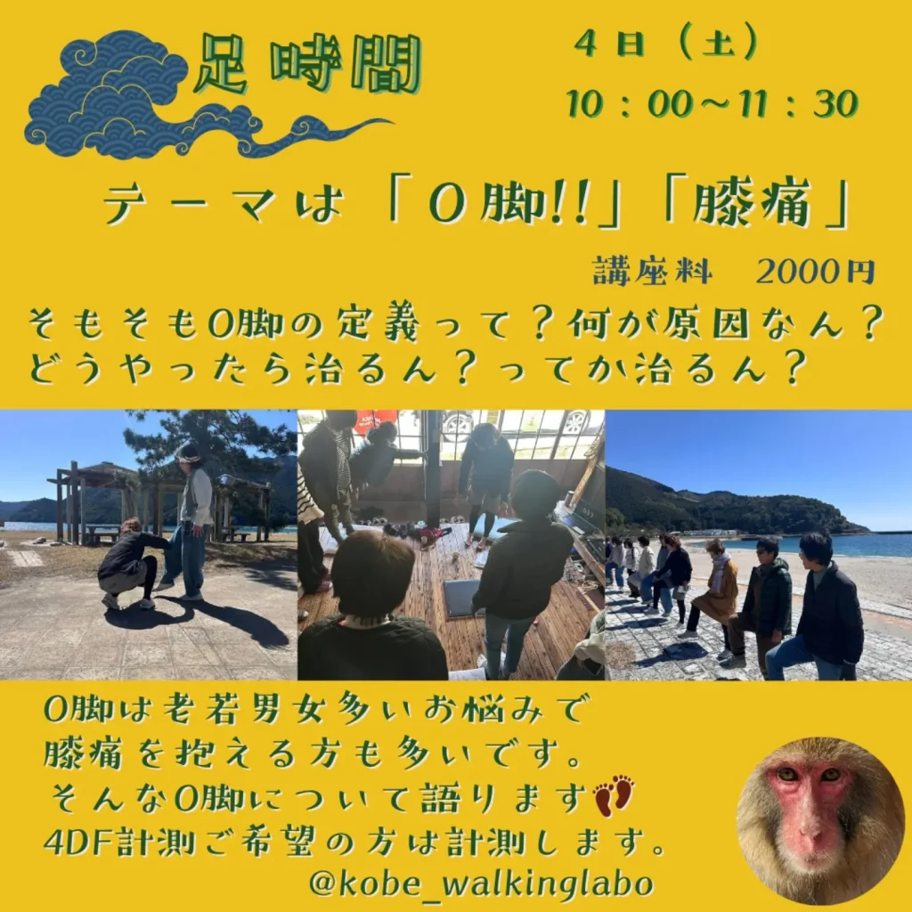 【三重県尾鷲市】三木里「ながらのおうち 心と体のメンテナンス Vol.2」開催|お茶摘み・ヨガ・気功・足のお話で整える2日間