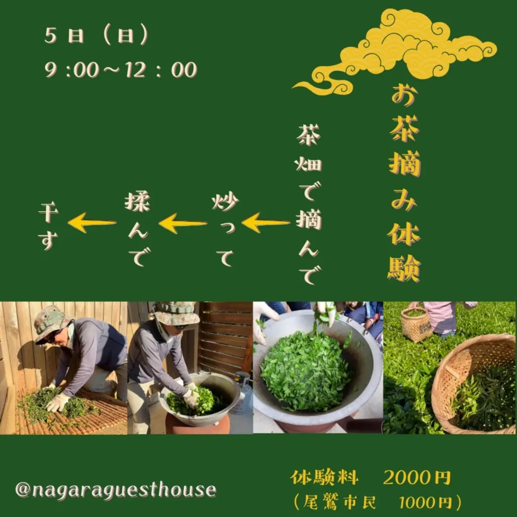 【三重県尾鷲市】三木里「ながらのおうち 心と体のメンテナンス Vol.2」開催|お茶摘み・ヨガ・気功・足のお話で整える2日間